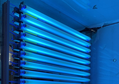 如何通過UV紫外光照實驗箱構建動物皮膚光老化模型？
